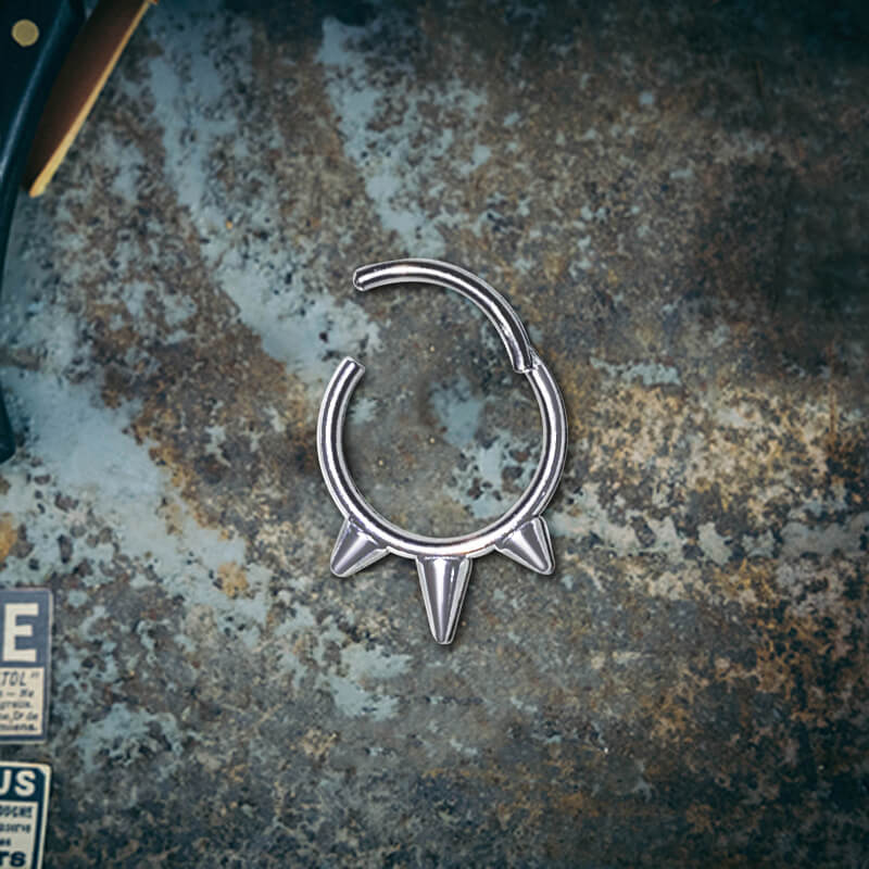 9009-stainless-steel-1.2-mm-8-mm-stainless-steel-1.2-mm-8-mm-variation-1.jpg Punk Rivet Stainless Steel Hinged Segment Lip Ring